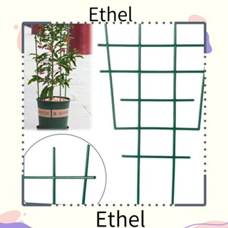 Ethel1 ชั้นวางเถาวัลย์ อุปกรณ์ทําสวน ดอกไม้ สีเขียว เครื่องมือทําสวน