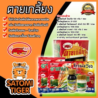 ยาชุดสูตรเข้แดง ตายเกลี้ยง ยากำจัดวัชพืชนาข้าว วัชพืชใบแคบ - ใบกว้าง ฉีดพ่นบนพื้นที่ได้ 6-10 ไร่