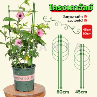 Yuanta โครงเถาวัลย์ เสามะเขือเทศ โครงปลูก อุปกรณ์สำหรับพืชไม้เลื้อย 45cm 60cm plant trellis