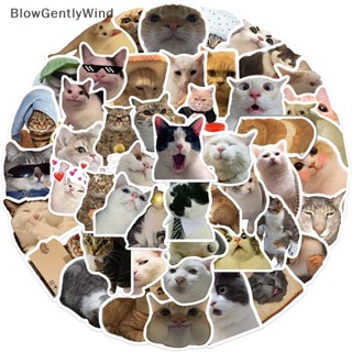 Blowgentlywind สติกเกอร์ ลายกราฟฟิตี้แมว MEME Animals สําหรับตกแต่งโน้ตบุ๊ก แล็ปท็อป 50 ชิ้น BGW