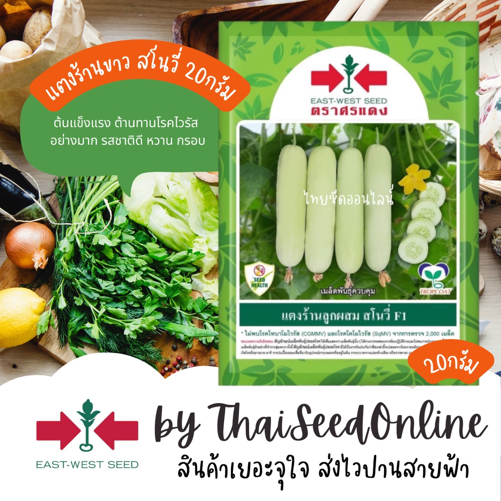 ตราศรแดง EWCOM เมล็ดพันธุ์ แตงร้านสีขาว สโนวี่ 20กรัม ตราศรแดง แตงร้านขาว แตงขาว Cucumber