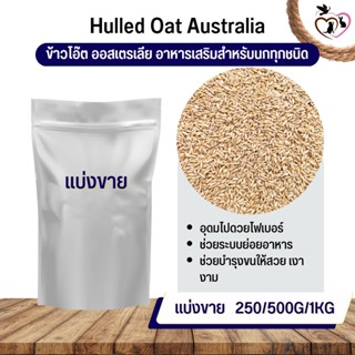 ข้าวโอ๊ต ออสเตรีย Oat Rice อาหารนก กระต่าย หนู กระต่าย กระรอก ชูก้า และสัตว์ฟันแทะ (แบ่งขาย 250G / 500G / 1KG)