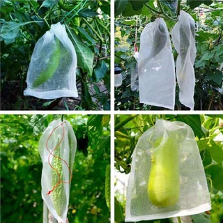 SC Paper-Pack ถุงห่อผลไม้ ตาข่ายพลาสติก แพ็ค 1 ใบ/10 ใบ