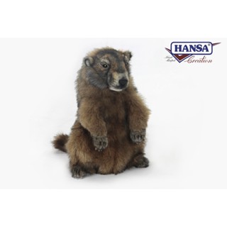 6749 ตุ๊กตามาร์มอต Marmot