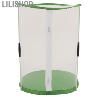 Lilishop Transparent Insect Mesh Cage  Insect Observation Cage Simple Assembly  for Ornamental Plants