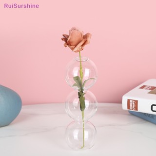 Ruisurshine แจกันดอกไม้ ทรงกลม สไตล์นอร์ดิก สําหรับตกแต่งบ้าน ของขวัญวันเกิด