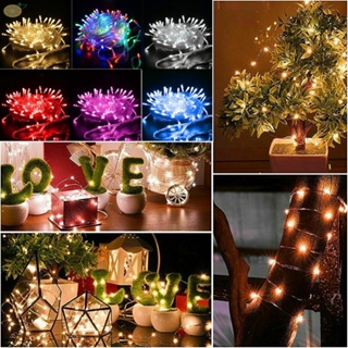 【VARSTR】LED String Lights 200 LED Built-in Switch Garden Decoration Multicolor Light