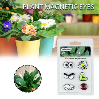 Plant Magnets Eyes Potted Plants Accessories Funny Plant Safe Magnet Pins Charms