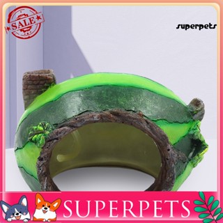 Superpets ถ้ําเรซิ่น รูปแตงโม ขนาดเล็ก สําหรับสัตว์เลี้ยง สัตว์เลื้อยคลาน