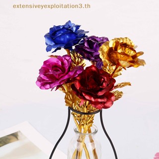 &amp; Hg &amp; ดอกกุหลาบชุบทอง 24k ของขวัญวันวาเลน วันครบรอบ สําหรับคนรัก