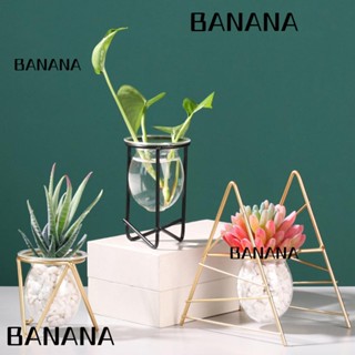 Banana1 แจกันเหล็กไฮโดรโปนิก ทรงเรขาคณิต สําหรับตกแต่งบ้าน