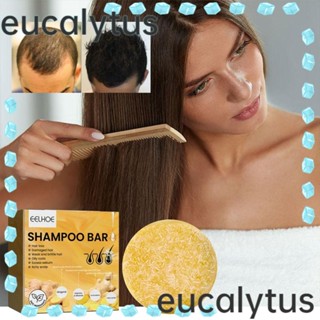 Eucalytus1 สบู่แชมพูขิง ออร์แกนิกธรรมชาติ ช่วยบํารุงหนังศีรษะ ลดผมร่วง ให้ความชุ่มชื้น