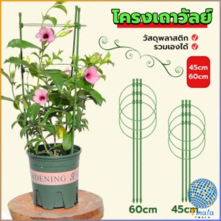 Tmala โครงเถาวัลย์ เสามะเขือเทศ โครงปลูก อุปกรณ์สำหรับพืชไม้เลื้อย 45cm 60cm plant trellis