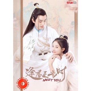 DVD Meet You (2021) เจ้าสาวสวมรอย (12 ตอนจบ) (เสียง ไทย | ซับ ไม่มี) DVD