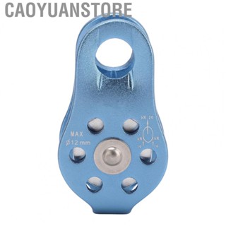 Caoyuanstore Climbing Single Rope Pulley Fixed Eye Climbing Pulley Strong Bearing  Al Mg Alloy Reduce Rope Wear for Mountaineering