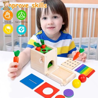 ของเล่นไม้ Montessori รวมกล่องเหรียญ แครอท ไม้ขีดข่วน และลูกบอล เพื่อการเรียนรู้เด็ก SHOPSKC4098