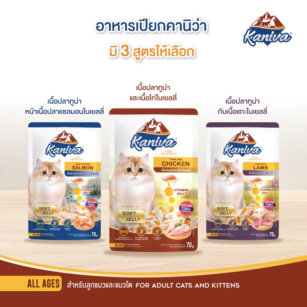 รูปภาพ 5