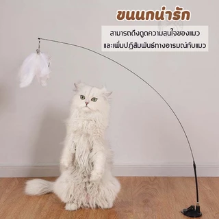 ✨😻﻿ ของเล่นล่อแมว ไม้แหย่แมว ล้อเลียน Cat Stick ไม้ตกแมว แบบปุ่มดูดสุญญากาศ ขนนก สําหรับแมว