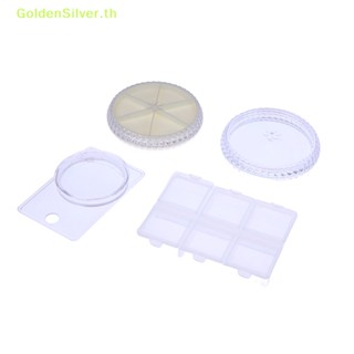 Goldensilver กล่องพลาสติก สีเงิน สําหรับใส่เครื่องประดับ ตกแต่งเล็บ TH