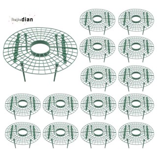 ชั้นวางสตรอเบอร์รี่ น้ําหนักเบา สําหรับปลูกสตรอเบอร์รี่ 15 แพ็ค