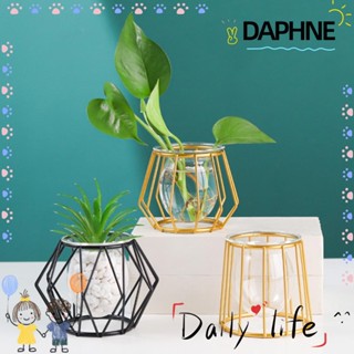 Daphne แจกันเหล็กไฮโดรโปนิก ทรงเรขาคณิต สําหรับตกแต่งบ้าน