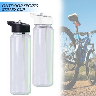 750ml Water Bottle with Straw Plastic Free Leakproof Sport Portable Drinks Mug