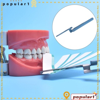 POPULAR แหนบกระดาษ แบบตรง อุปกรณ์ทันตกรรม สําหรับดูแลช่องปาก