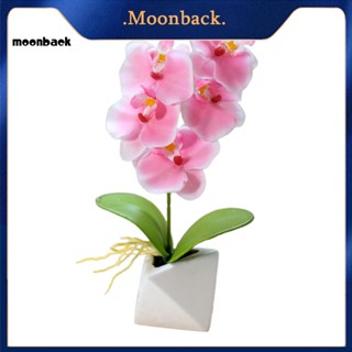 &lt;moonback&gt; กระถางดอกไม้ประดิษฐ์ สําหรับตกแต่งบ้าน สวน