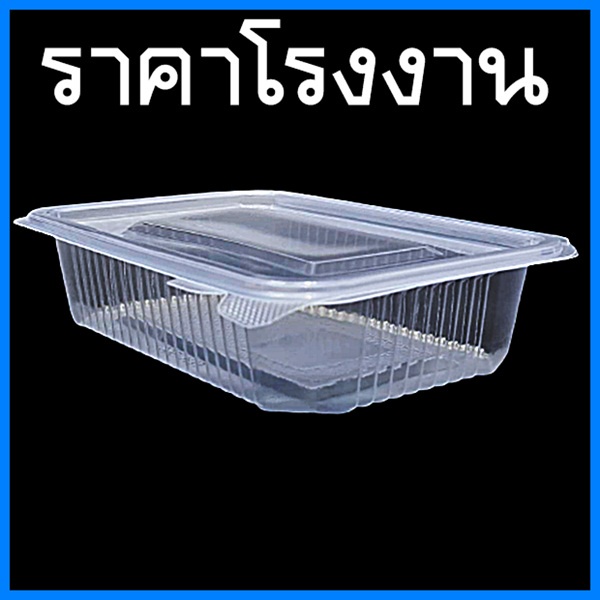กล่องพลาสติกใสพร้อมฝาปิด กล่องข้าว (25ใบ/แพ็ค)