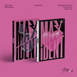 (Normal ver.) Stray Kids -mini album [MAXIDENT]