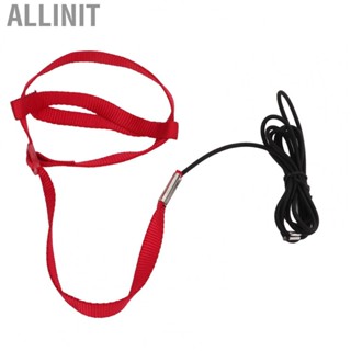 Allinit Parrot Flying Training Rope  Lightweight Bird Leash Elastic for Walking Attending Party