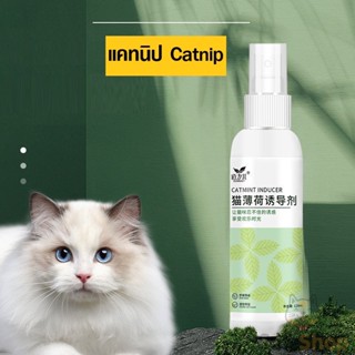 🐾พร้อมส่ง🐾สเปรย์แมวเคลิ้ม Catnip น้ำ กัญชาแมวชนิดน้ำ 120ml.