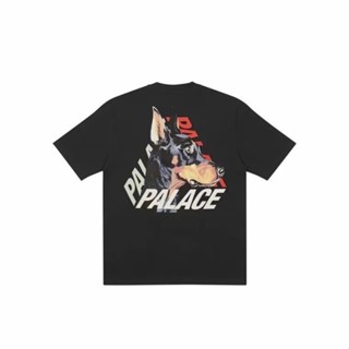 เสื้อยืดแขนสั้นลําลอง ผ้าฝ้าย พิมพ์ลาย Palace P-3-K-9 ทรงสามเหลี่ยม สําหรับผู้ชาย และผู้หญิง