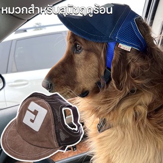 หมวกสำหรับสุนัขฤดูร้อน Outdoor Baseball Cap ลูกสุนัขหมวกสุนัขขนาดเล็ก ปรับได้ ขนาดใหญ่ สําหรับสุนัขกลางแจ้ง