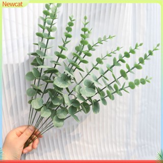 {Newcat} ต้นยูคาลิปตัสปลอม สีเขียว ไม่ซีดจาง สําหรับถ่ายภาพ DIY 10 ชิ้น