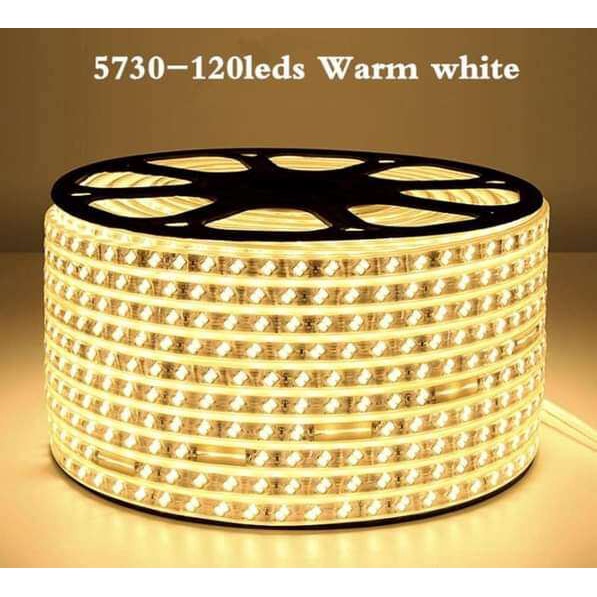 ไฟสายยาง Strip รุ่นใหม่ 5730 ไฟท่อกันน้ำ ไฟตกแต่ง 120LED/เมตร40M 50M 100M 220V ต่อไฟบ้าน ขนาด10mm พร้อมหัวจ่าย