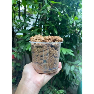 ขี้เลื่อยรองกรง 3-4Kg ขี้เลื่อยไม้สน ขี้เลื่อยกระต่าย ขี้เลื่อยอัดเม็ด ขี้เลื่อยไม้เบญจพรรณ ขี้เลื่อยอัดแท่ง