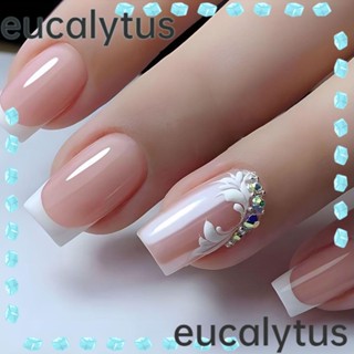 Eucalytus1 เล็บปลอม แบบกด DIY สไตล์ฝรั่งเศส