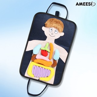 ของเล่นออร์แกน Ameesi พัฒนานิสัยที่ดี ผ้าที่น่าสนใจ ของเล่นออร์แกน ออร์แกนิก สําหรับเด็ก