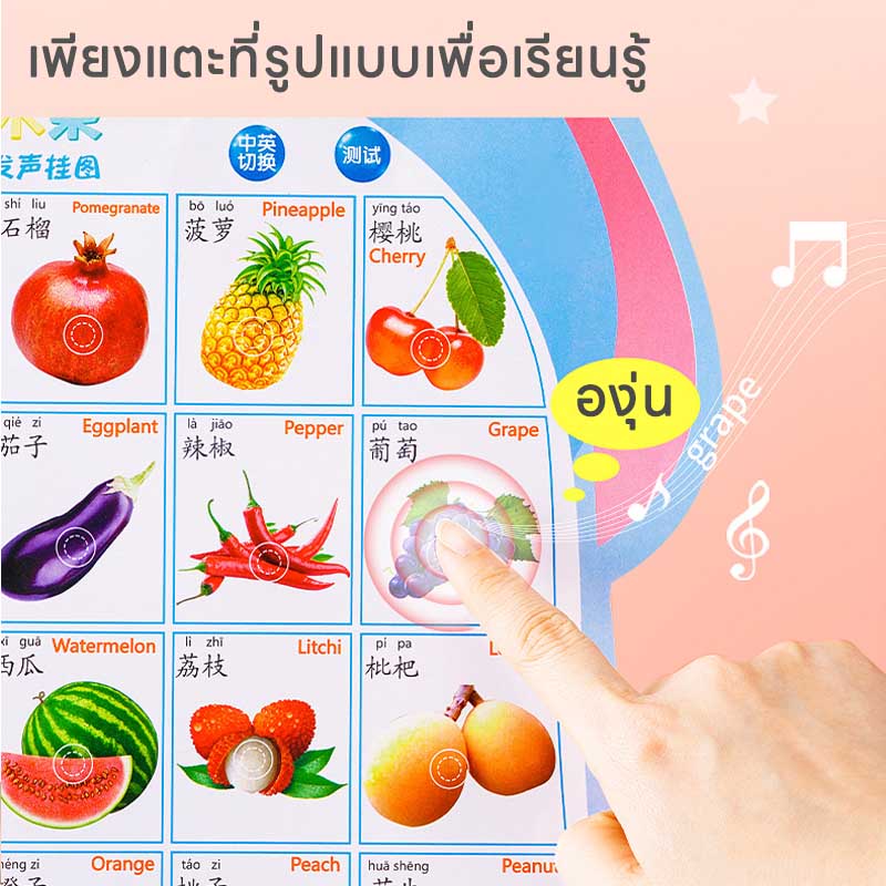 COD โปสเตอร์พูดได้ พัฒนาการของเด็ก 3 ภาษา โปสเตอร์สอนคำศัพท์ ของเล่นภาษา