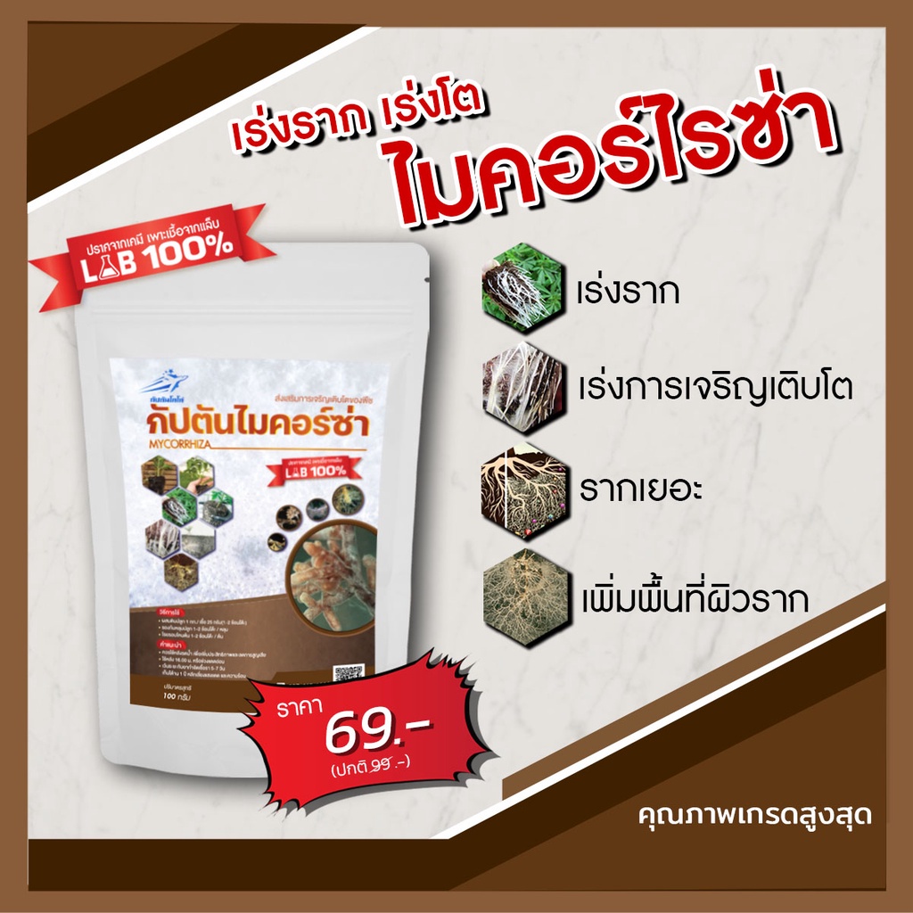 [100กรัม] ไมคอร์ไรซ่า เพาะเชื้อจากห้อง LAB พร้อมใช้ ปลอดภัย 100 %