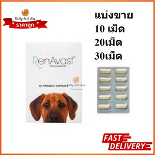 Renavast for Dog แบบแบ่งขาย อาหารเสริมโปรตีน บำรุงไต exp8/2024