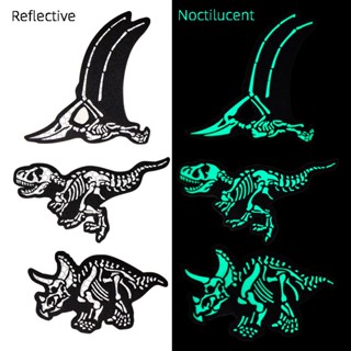 【Customized 】แผ่นแพทช์ ลาย Tyrannosaurus Rex Triceratops Nightlight Pterosaur สําหรับตกแต่งเสื้อแจ็กเก็ตยีน ปลอกแขน