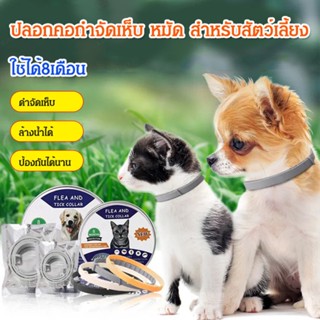 คอลลาร์ป้องกันเห็บและเห็บหมัดที่สามารถปรับได้สำหรับสุนัขและแมวขนาดเล็ก ป้องกันเห็บและเชื้อโรค