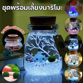 ชุดพร้อมเลี้ยงมาริโมะ แถมอุปกรณ์ครบชุดพร้อมเลี้ยง มอสบอล Marimo มาริโมะ ของขวัญ เหมาะสำหรับให้เป็นของขวัญสำหรับคนที่รัก