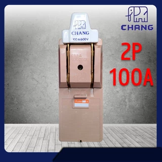 CHANG คัทเอาท์ ช้าง 2P 30A / 60A / 100A 600V พร้อมฟิวส์ในกล่อง