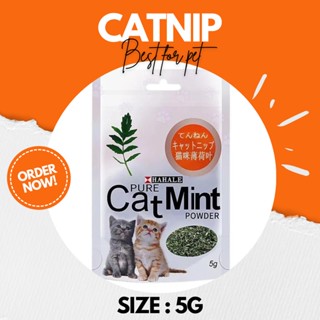 ⭐สินค้าพร้อมส่ง⭐ กัญชาแมว แคทนิป Catnip แคทมิ้น Catmint แบบผง 5g