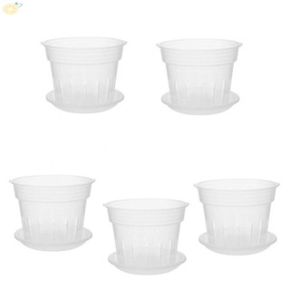 【VARSTR】Orchid Pot Removable With Saucers Mess-Free Watering Transparent Flower Pot