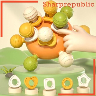 [Sharprepublic] ของเล่นลูกบอล แบบพกพา เสริมพัฒนาการเด็กวัยหัดเดิน