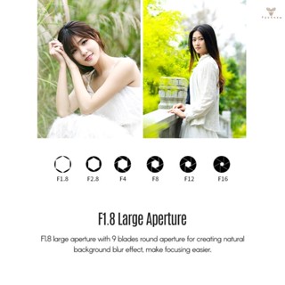 Fw AF 85/1.8 II Professional Full-frame  E-Mount Camera Prime Lens with Lens Hood Metal Electronic Contacts Focal Length 85mm F1.8 Aperture Support AF Auto Focus   EXIF Imforma